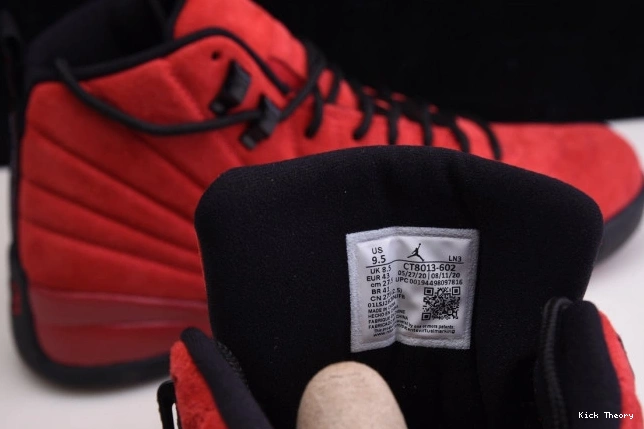 Kicktheory Jordan Game Reverse Retro Flu CT8013-602 12 Air 0715